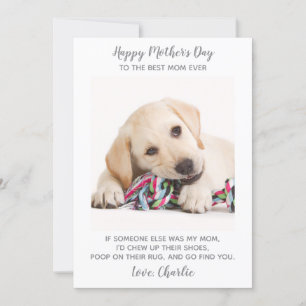 Cartão De Festividades Cachorro Mãe Personalizada Foto de Pet Engraçado