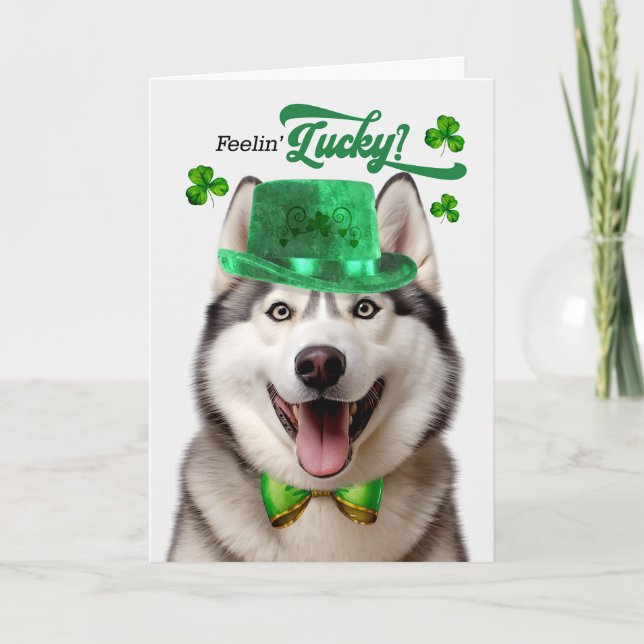 Cartão De Festividades Cachorro Malamute Sentindo Dia de São Patrício Sor (Frente)