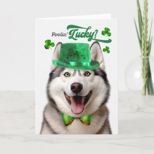 Cartão De Festividades Cachorro Malamute Sentindo Dia de São Patrício Sor