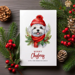 Cartão De Festividades Cachorro Maltês de Natal com Aquarela
