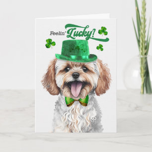 Cartão De Festividades Cachorro Maltipoo se Sentindo Sortudo no Dia de Sã