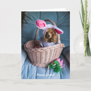 Cartão De Festividades Cachorro páscoa em uma cesta