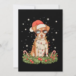 Cartão De Festividades Cachorro Pinscher de Natal Chapéu do Papai Noel Fe