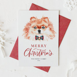 Cartão De Festividades Cachorro Pomeraniano Cachorro Cachorro Feliz Natal