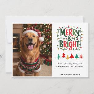 Cartão De Festividades Cachorro Retriever Dourado Foto Personalizada Aleg