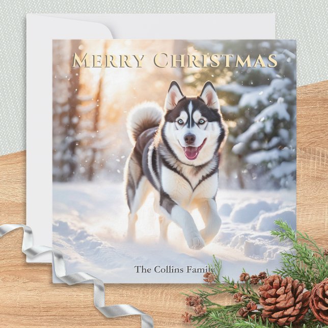 Cartão De Festividades Cachorro rouco Na Neve De inverno Feliz Natal (An elegant Christmas card with picture of a Husky dog in the winter snow)