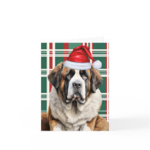 Cachorro São Bernardo Santa Plaid Natal Adorável