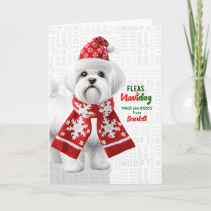 Cartão De Festividades Cachorro Shih Tzu Fofo Piadas de Pulgas Navidog co
