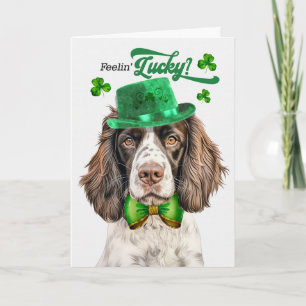 Cartão De Festividades Cachorro Springer Inglês Feliz Dia de São Patrício