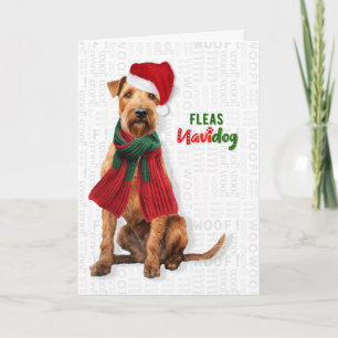 Cartão De Festividades Cachorro Terrier de Lakeland Piadas Pulgas Navidog
