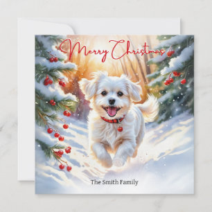 Cartão De Festividades Cachorro Terrier Maltês no Inverno Natal Feliz