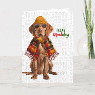 Cartão De Festividades Cachorro Vizsla Elegante Piadas de Pulgas Navidog