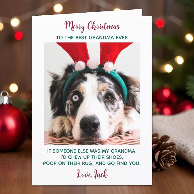 Cartão De Festividades Cachorro Vovó Engraçado Foto Personalizada de Pet  (Criador carregado)