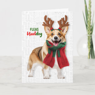 Cartão De Festividades Cachorro Welsh Corgi Piadas de Pulgas Navidog Nata