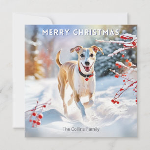 Cartão De Festividades Cachorro Whippet Caminhando Na Neve Natal Feliz