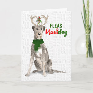 Cartão De Festividades Cachorro Wolfhound Irlandês de Natal Fleas NaviDO