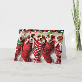 Cartão De Festividades Cachorros bonitos - Meias de Natal dentro