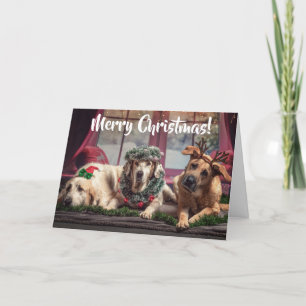 Cartão De Festividades Cachorros de Foto Engraçados em Antlers de Natal e