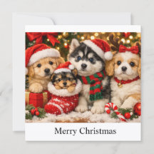 Cachorros de Natal