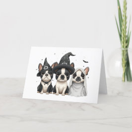 Cartão De Festividades Cães Boston Terrier no Halloween