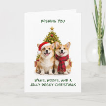 Cães Corgi Natal