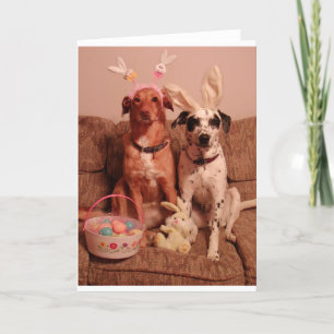 Cartão De Festividades Cães da páscoa