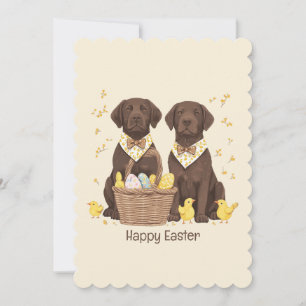 Cartão De Festividades Cães de felz pascoa de chocolate Labrador