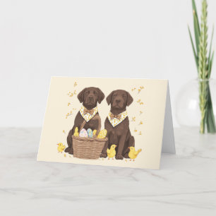 Cartão De Festividades Cães de felz pascoa de chocolate Labrador