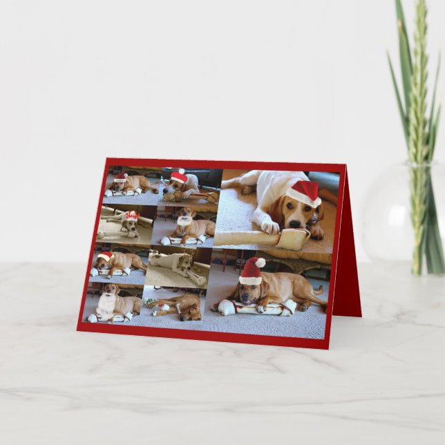 Cartão De Festividades cães de Laura (Frente)