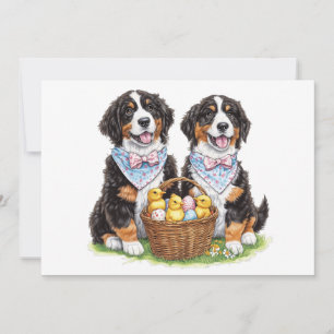 Cartão De Festividades Cães de Montanha Bernese páscoas