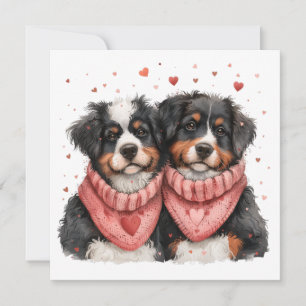 Cartão De Festividades Cães de Montanha dia de os namorados Bernese