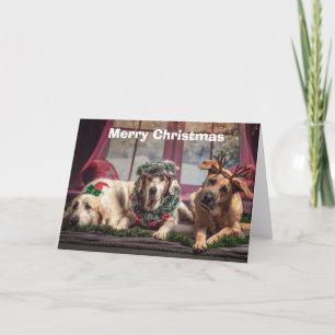 Cartão De Festividades Cães de Natal Feliz