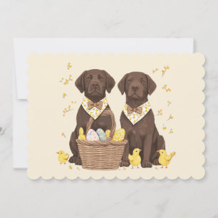 Cartão De Festividades Cães de páscoa de chocolate Labrador