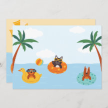 Cães de verão na praia