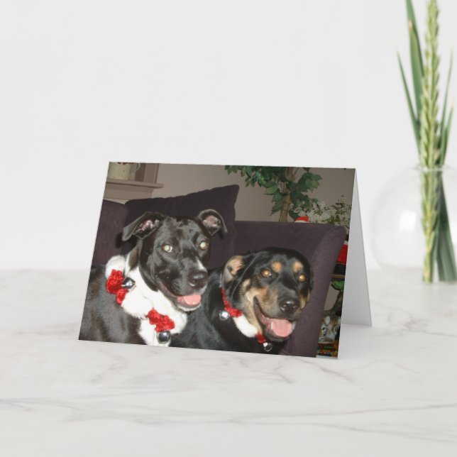 Cartão De Festividades Cães do tinir (Frente)