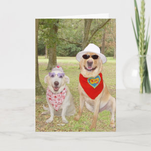 Cartão De Festividades Cães engraçados customizáveis