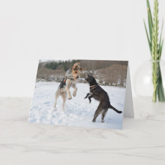 Cartão De Festividades Cães que têm o divertimento no Natal da neve