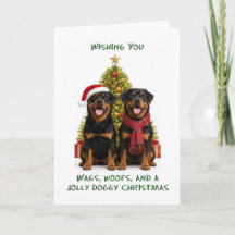 Cães Rottweiler Natal