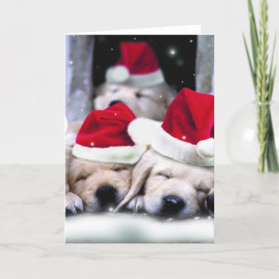 Cartão De Festividades Cãezinhos lindos de labrador com chapéus de Natal