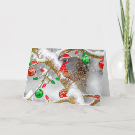 Cartão De Festividades Cail Natal