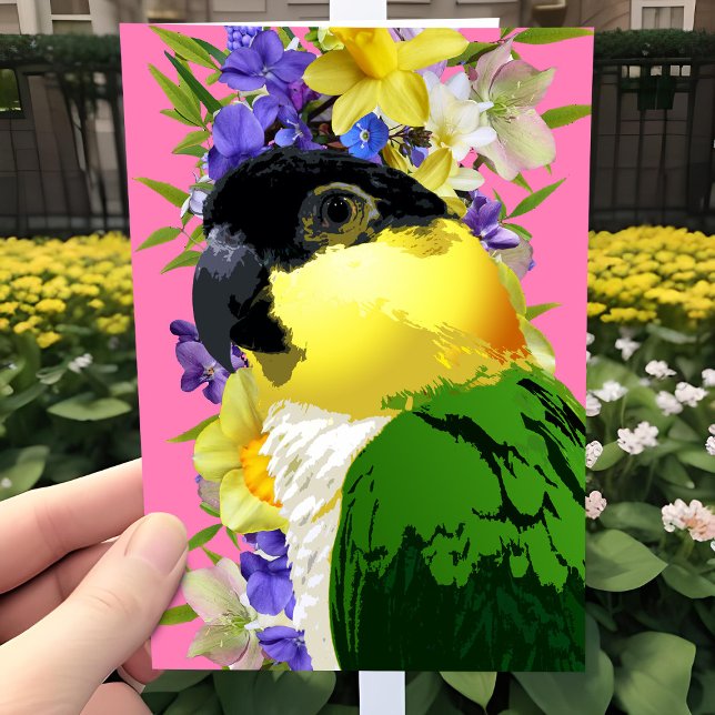 Cartão De Festividades Caique Papagaio Bonito Primavera Floral Pet Bird L (Caique parrot Spring floral all occasion greeting card. Pretty for birthday or Mother's Day.)