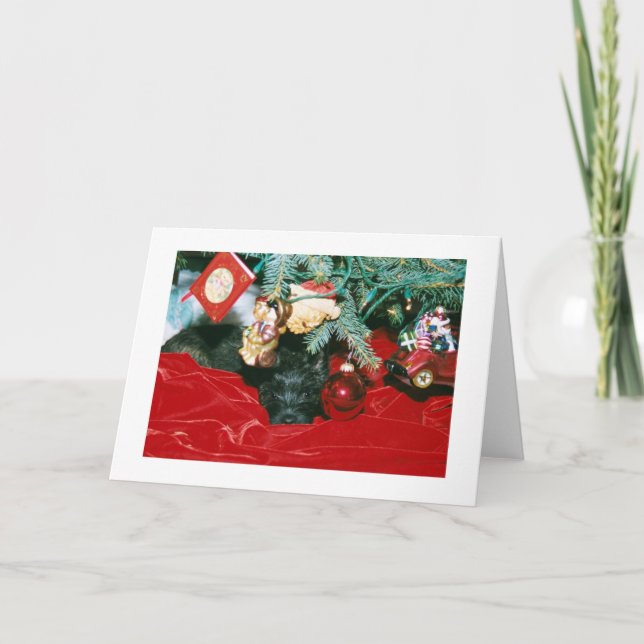 Cartão De Festividades Cairn Christmas (Frente)