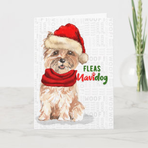 Cartão De Festividades Cairn de Natal Terrier Dog Fleas NaviDOG