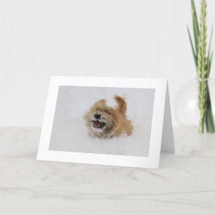 Cartão De Festividades Cairn Punt