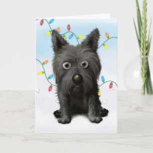 Cartão De Festividades Cairn Terrier 2 Natal