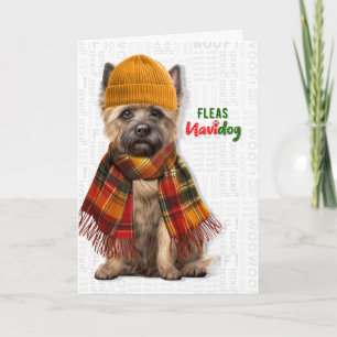 Cartão De Festividades Cairn Terrier Cachorro Piadas Pulgas Navidog Natal