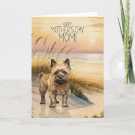 Cartão De Festividades Cairn Terrier Dog Sunset Beach Mother's Day