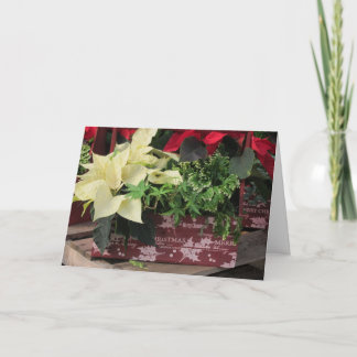 Cartão De Festividades Caixa de Natal