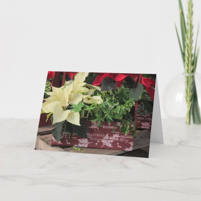 Cartão De Festividades Caixa de Natal (Frente)