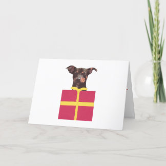 Cartão De Festividades Caixa do Pinscher diminuto